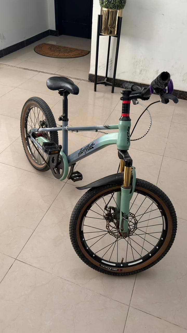 Cycle 2