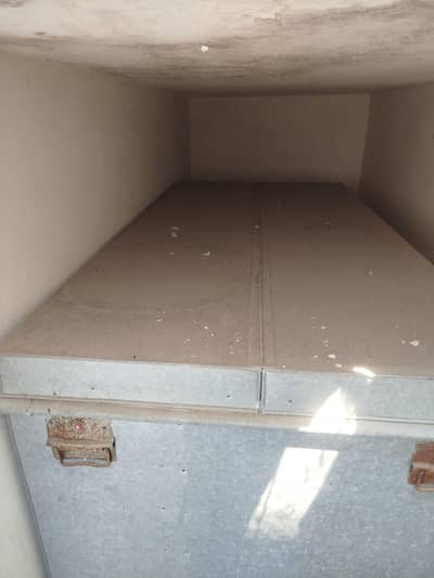 peti (trunk)