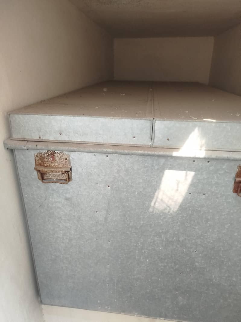 peti (trunk) 3