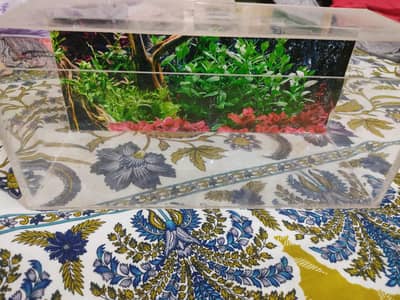 ACRYLIC AQUARIUM FOR FISHES