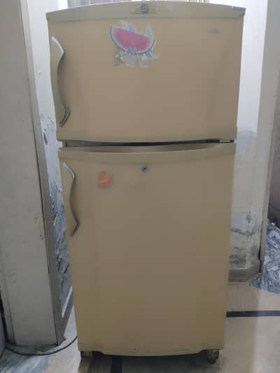 PEL Fridge