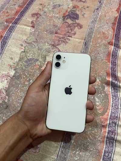 Iphone 11 lush condition price final