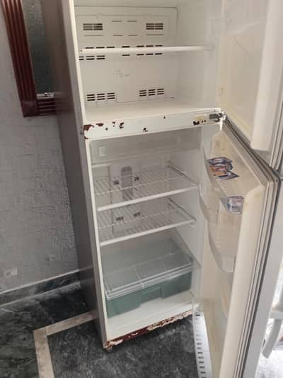 fridge full size