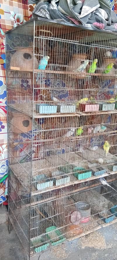 pora setup bs fisher ka pair nhai dena he Baki cages k sath he