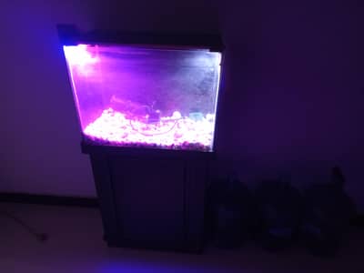 Fish Aquarium With Complete Accessories For Sale