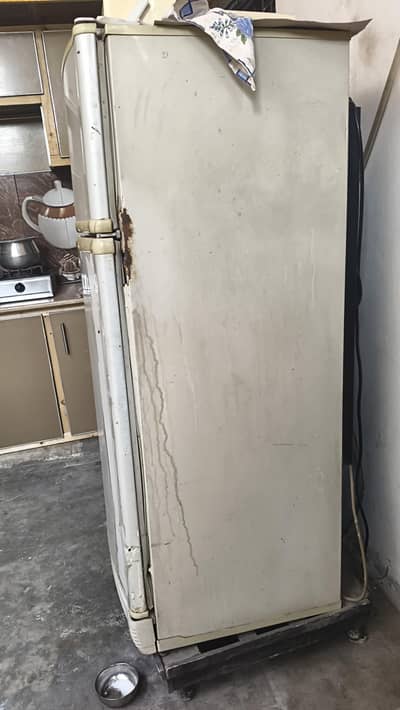 PEL Fridge for sale