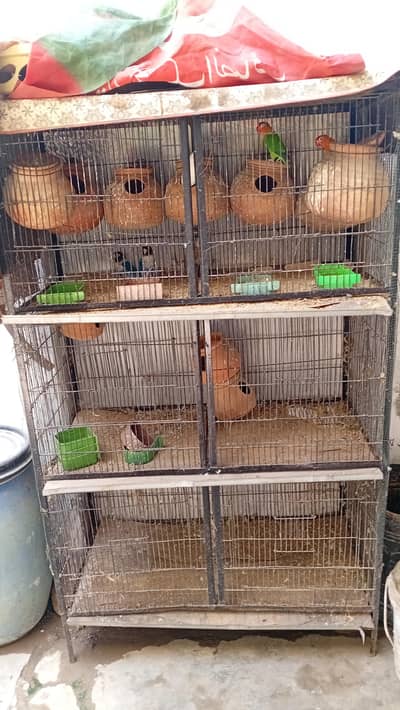 cages
