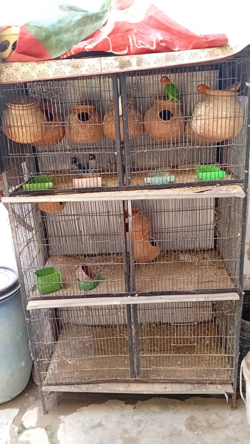 cages 0