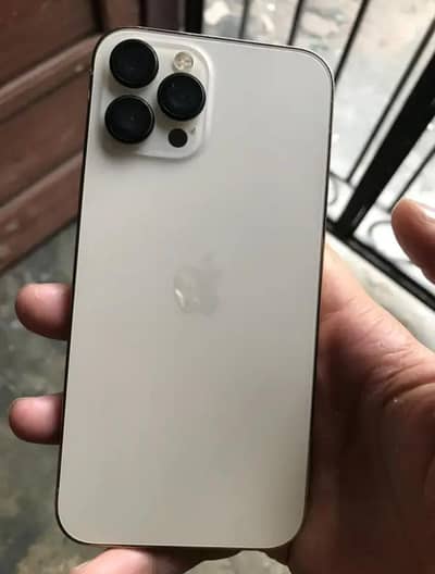 apple iphone 12 pro max