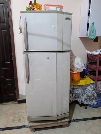 Waves refrigerator