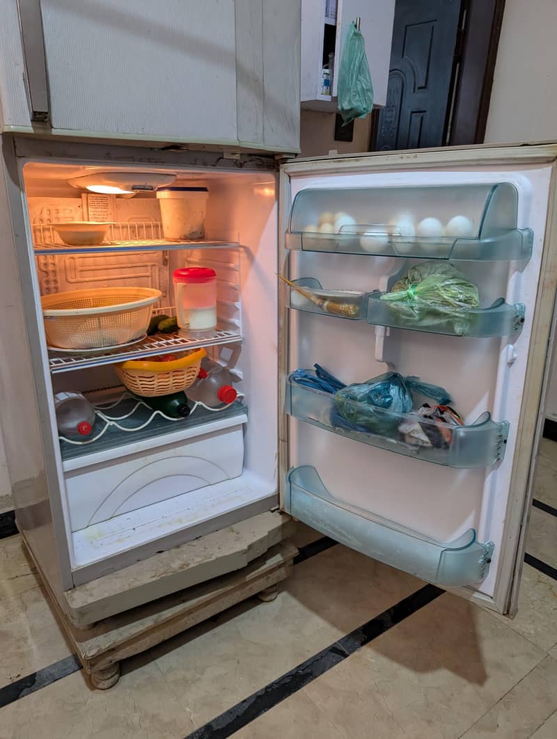 Waves refrigerator 1