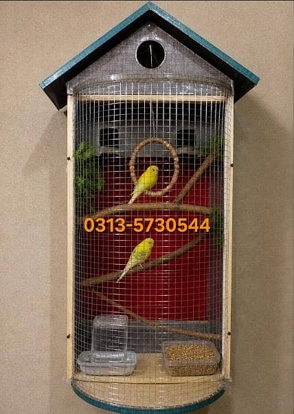bird Cage 1