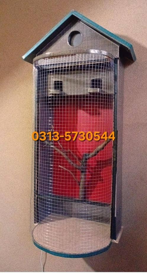 bird Cage 4