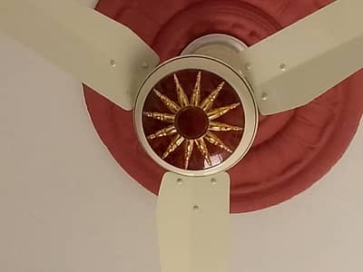Danish Company Electric Fan