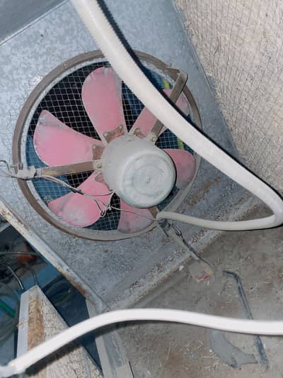 Water cooler
