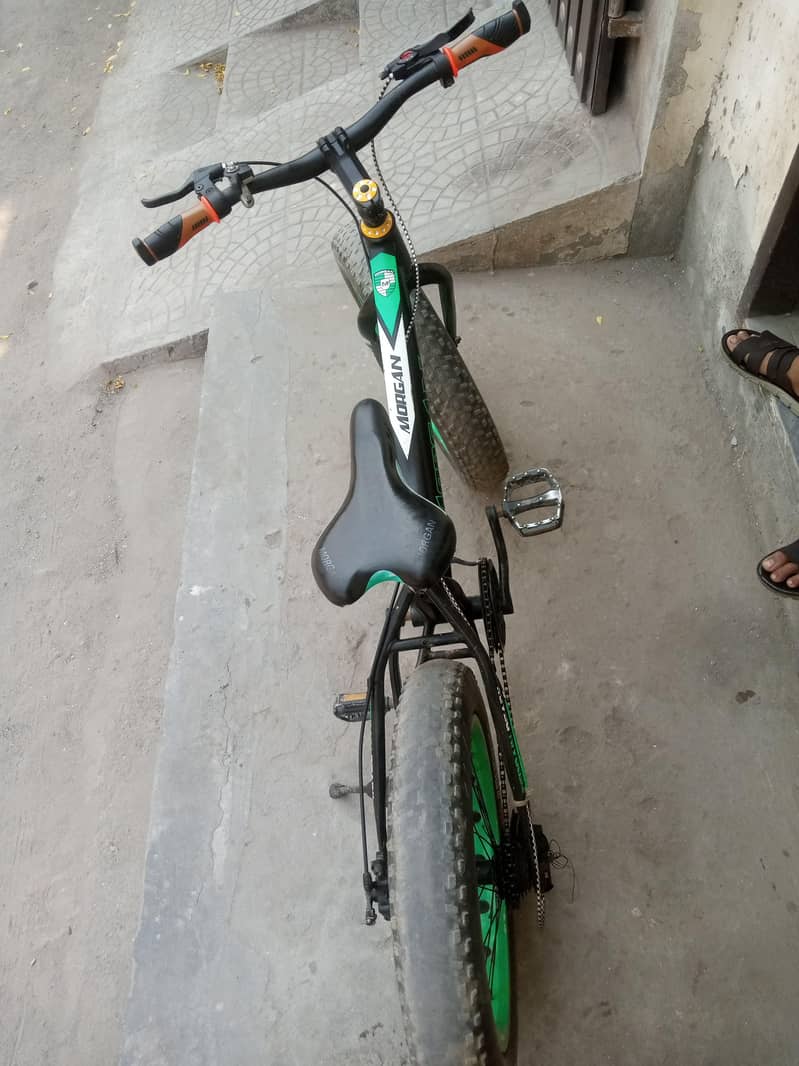 monster cycle 1