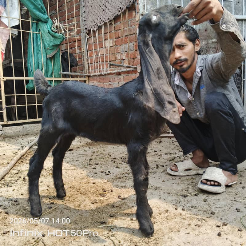 Desi bachy 4