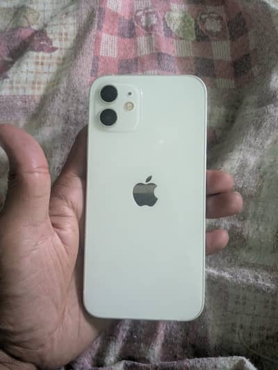 Iphone 12 PTA approved