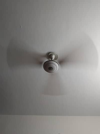 Used Lahore / Pak fans (Masjid property)