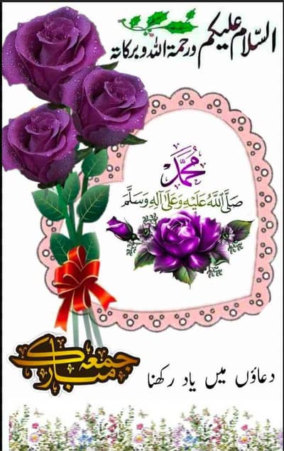 HAFIZ 03215479819