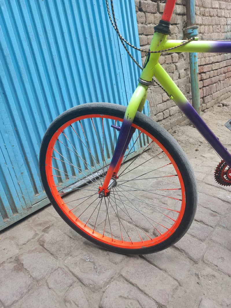 phoenix cycle 1