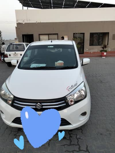 car seal