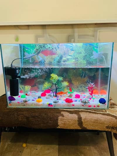 fishing tank for sale with all accessories watsapp no 03209080286