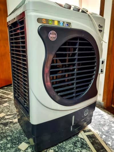 Rays Room Air Cooler