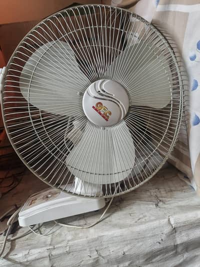 new fan