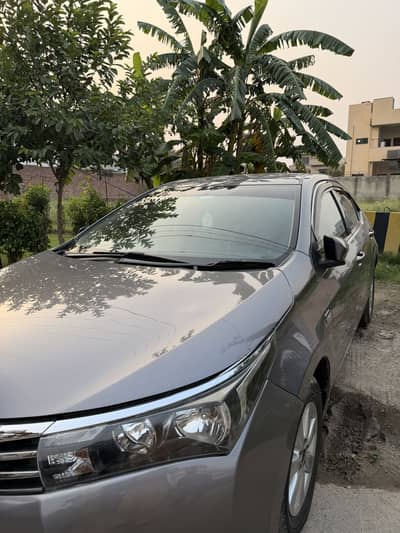 Altis 1.6 2015 Model