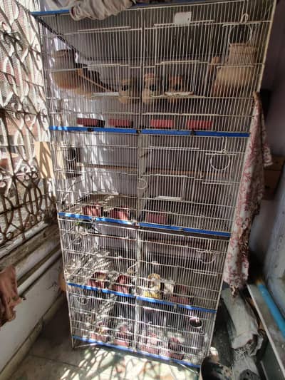 8 portions cage for sell