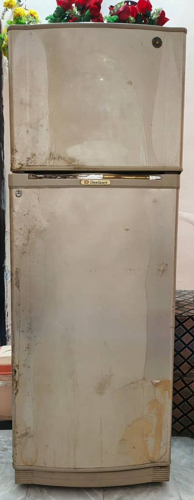 Dawlence Fridge