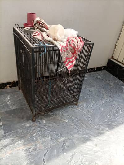 hen cage