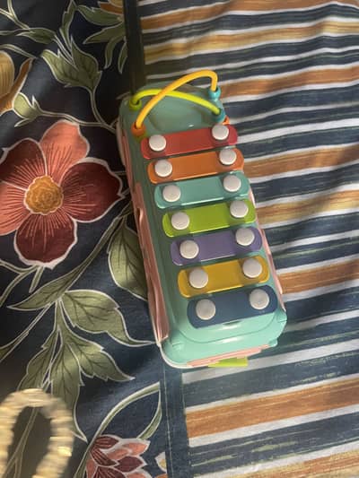 huanger xylophone bus
