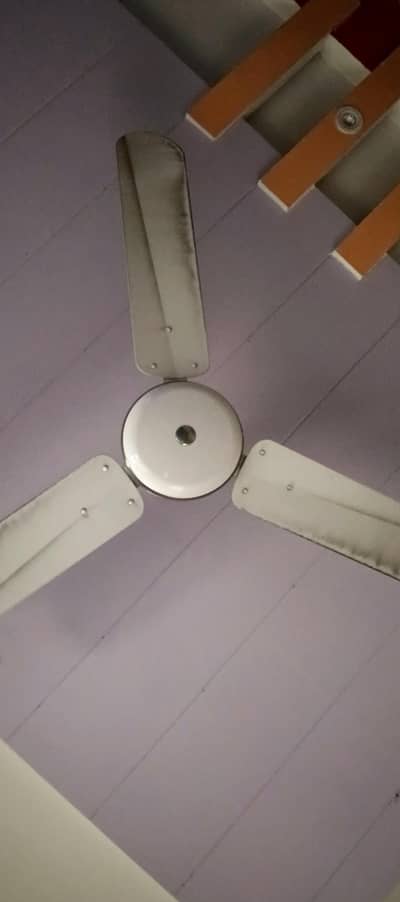 Super Asia Fan