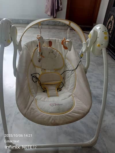 Electric Swing for Sale - Brand: Tinnies