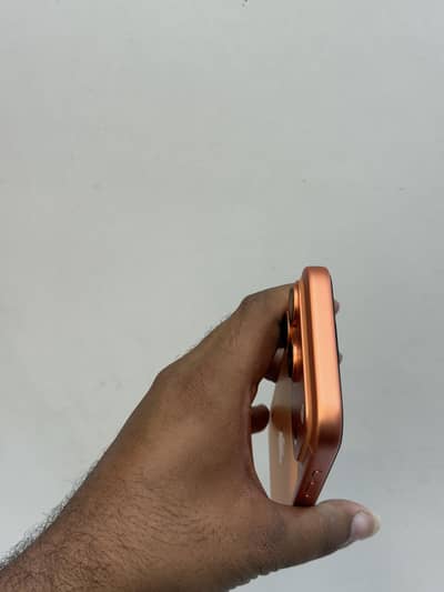 17 pro 256 pta