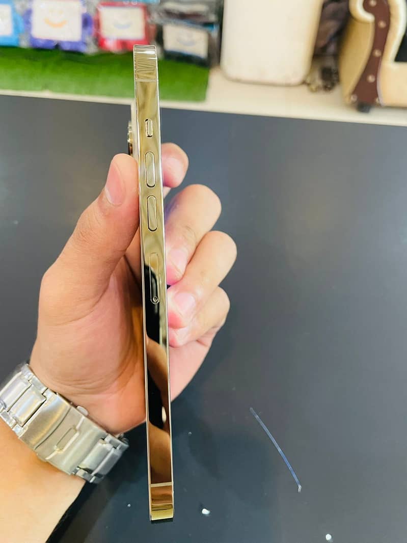Iphone 13 pro max 3