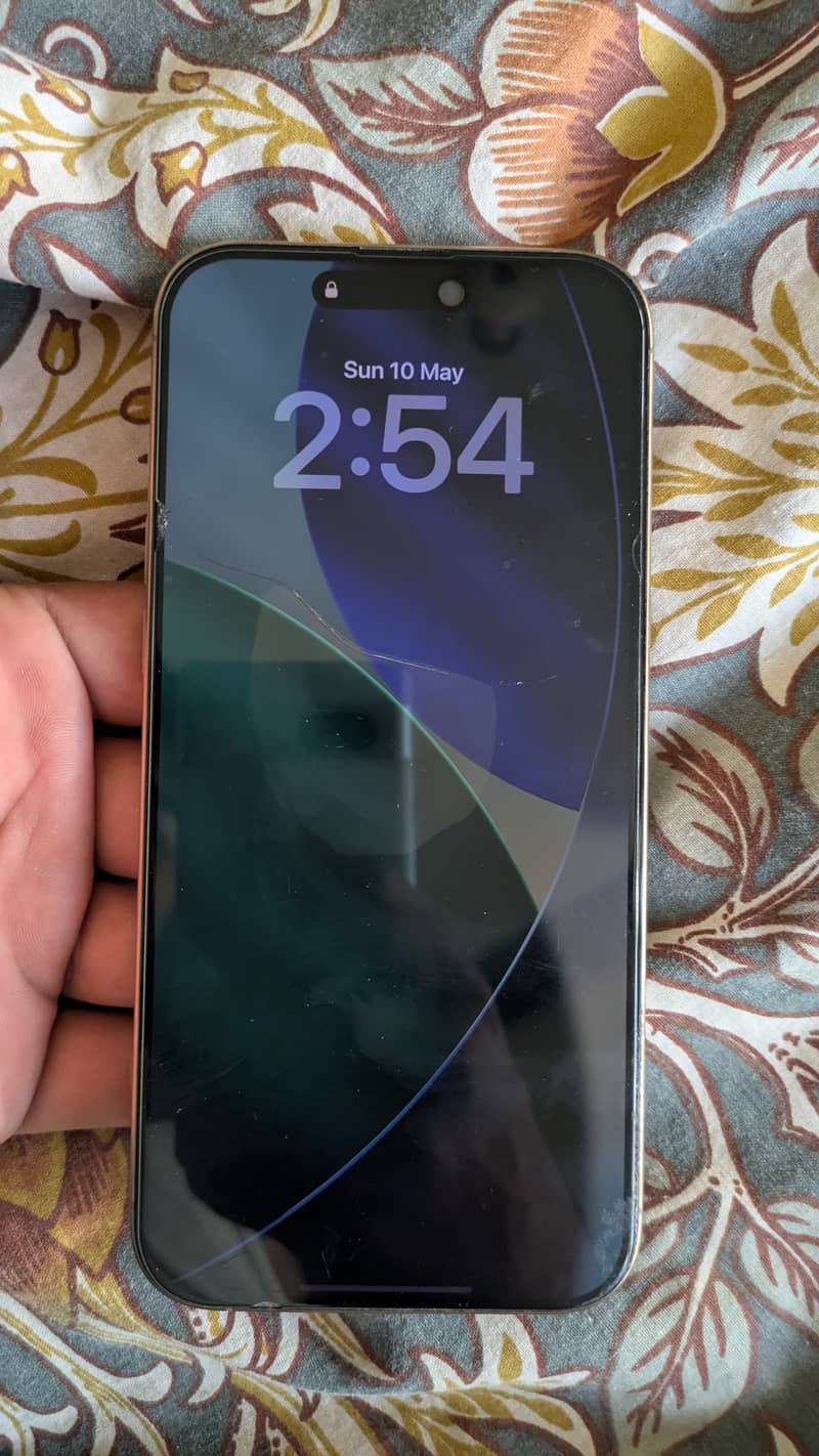 Apple iPhone 16 Pro Max 1