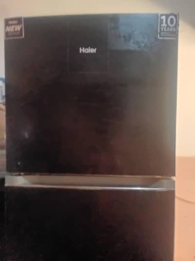 Greyesh Black