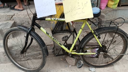 Phoenix Cycle