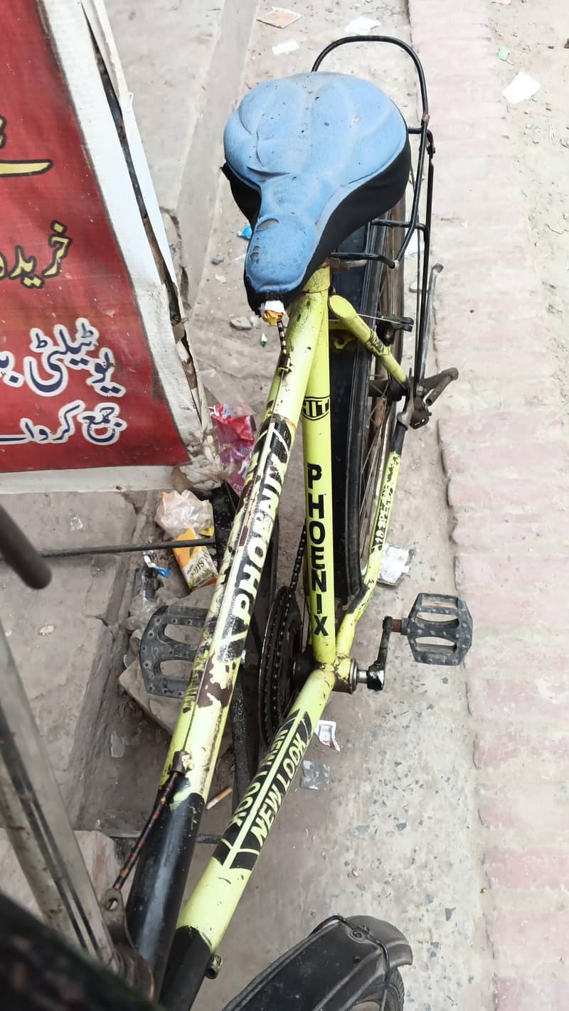 Phoenix Cycle 3