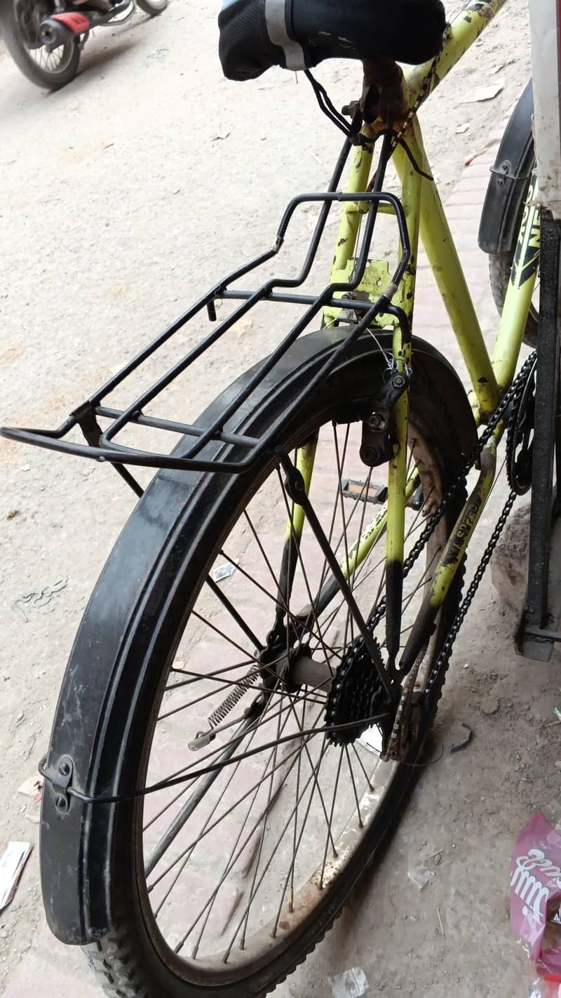 Phoenix Cycle 4
