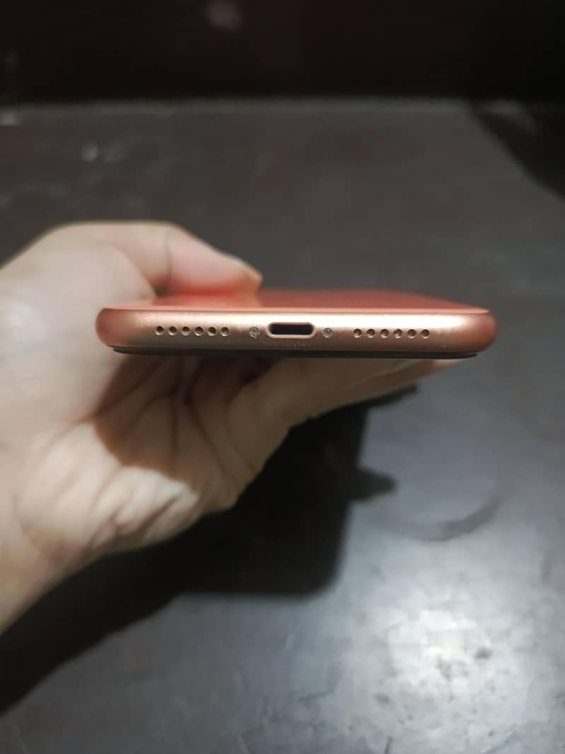 IPHONE XR 6