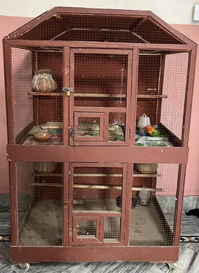 Parrot Cage