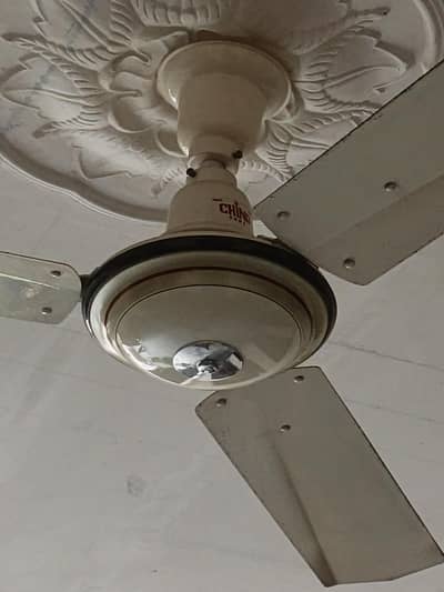 Ceiling fan
