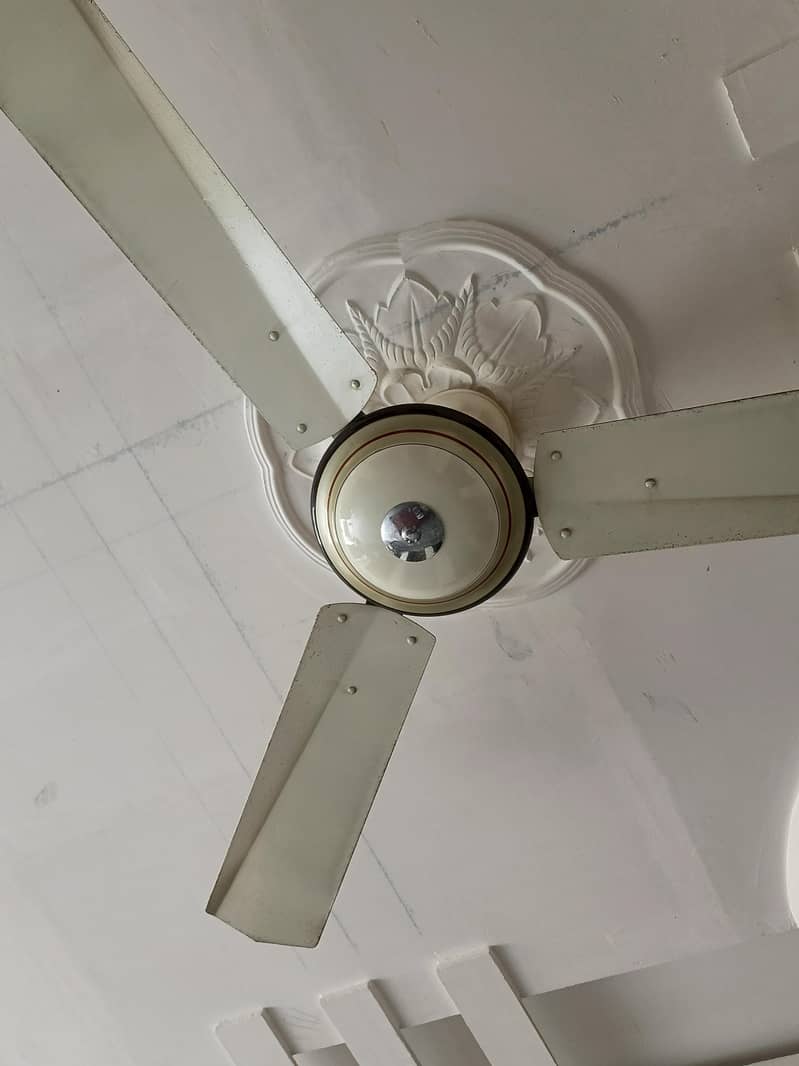 Ceiling fan 1