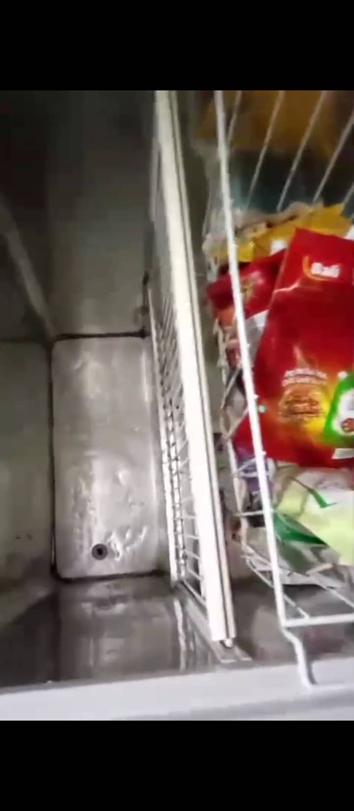 D freezer 1