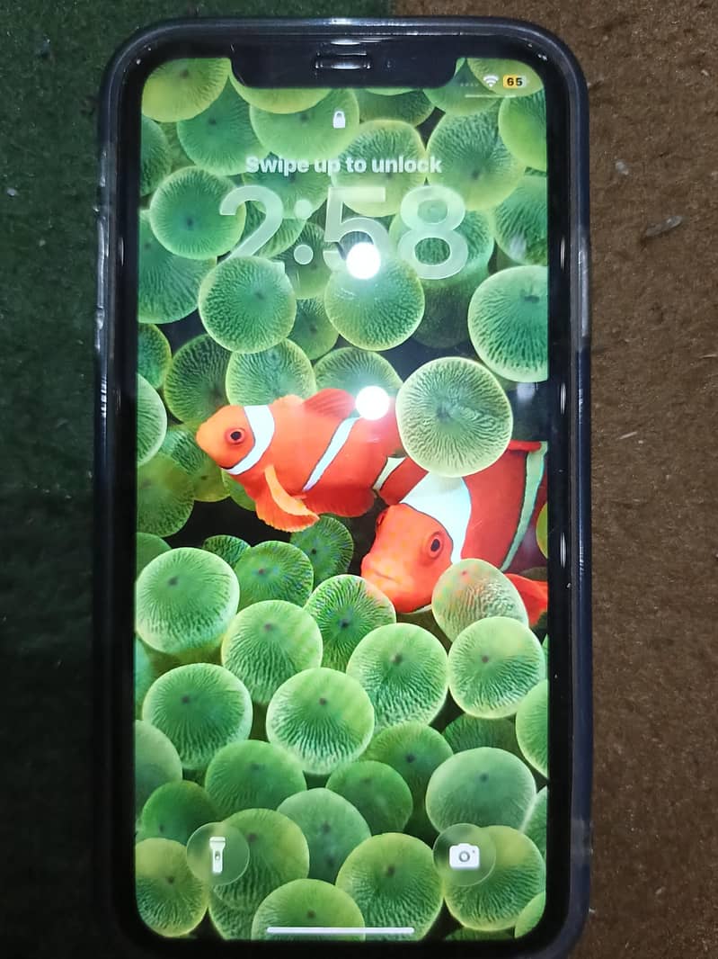 Iphone 11 1