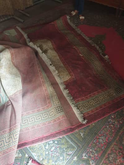 Qaleen/ Carpet